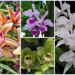 Thành lập văn phòng đại diện tại Quận Phú Nhuận 6 Muốn thành lập văn phòng đại diện tại Quận Phú Nhuận