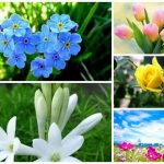 Xin giấy phép vệ sinh an toàn thực phẩm tại Đắk Lắk 6 Muốn xin giấy phép vệ sinh an toàn thực phẩm tại Đắk Lắk