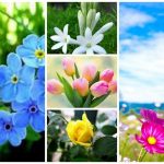 Xin giấy phép vệ sinh an toàn thực phẩm tại Điện Biên 6 Muốn xin giấy phép vệ sinh an toàn thực phẩm tại Điện Biên