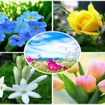 Xin giấy phép vệ sinh an toàn thực phẩm tại Hòa Bình 6 Muốn xin giấy phép vệ sinh an toàn thực phẩm tại Hòa Bình