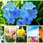 Xin giấy phép vệ sinh an toàn thực phẩm tại Lạng Sơn 6 Muốn xin giấy phép vệ sinh an toàn thực phẩm tại Lạng Sơn