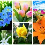 Xin giấy phép vệ sinh an toàn thực phẩm tại Nghệ An 6 Muốn xin giấy phép vệ sinh an toàn thực phẩm tại Nghệ An