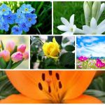 Muốn xin giấy phép vệ sinh an toàn thực phẩm tại Phú Yên