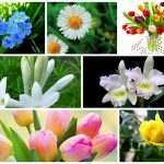  Muốn xin giấy phép vệ sinh an toàn thực phẩm tại Quận 8