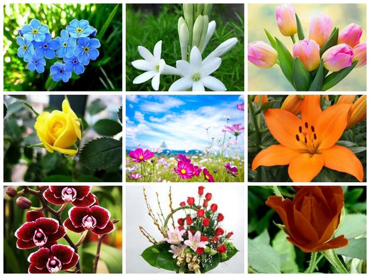 Xin giấy phép vệ sinh an toàn thực phẩm tại Quận Ô Môn 4 Thủ tục xin giấy phép vệ sinh an toàn thực phẩm tại Quận Ô Môn