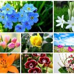 Xin giấy phép vệ sinh an toàn thực phẩm tại Thành phố Cần Thơ 6 Muốn xin giấy phép vệ sinh an toàn thực phẩm tại Thành phố Cần Thơ