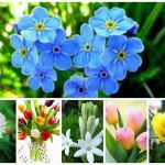 Xin giấy phép vệ sinh an toàn thực phẩm tại Thành phố Hồ Chí Minh 6 Muốn xin giấy phép vệ sinh an toàn thực phẩm tại Thành phố Hồ Chí Minh