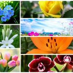 Muốn xin giấy phép vệ sinh an toàn thực phẩm tại TP Hải Phòng