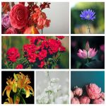 Dịch vụ mở phòng khám tư nhân tại TPHCM 14 Tìm mở phòng khám tư nhân tại TPHCM