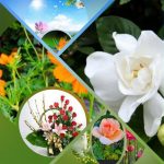Muốn thành lập doanh nghiệp Quận Đồ Sơn