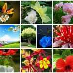 Muốn thành lập doanh nghiệp Quận Dương Kinh