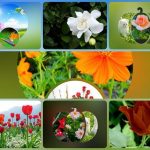 Muốn thành lập doanh nghiệp Quận Sơn Trà