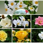 Muốn thành lập doanh nghiệp TP Hải Phòng