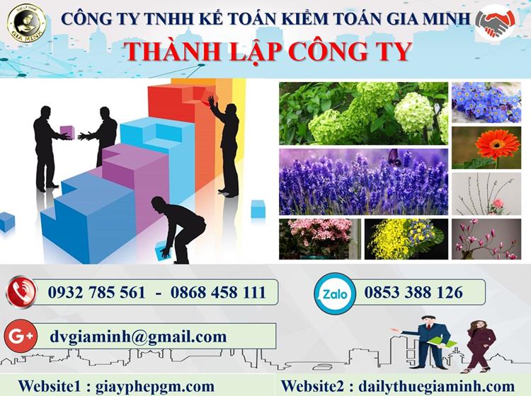 Thủ tục thành lập doanh nghiệp tại Đà Nẵng