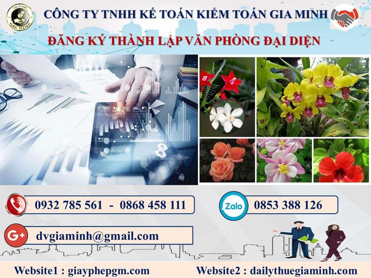 Đăng ký thành lập văn phòng đại diện tại Gia Lai 4 Thủ tục thành lập văn phòng đại diện tại Gia Lai