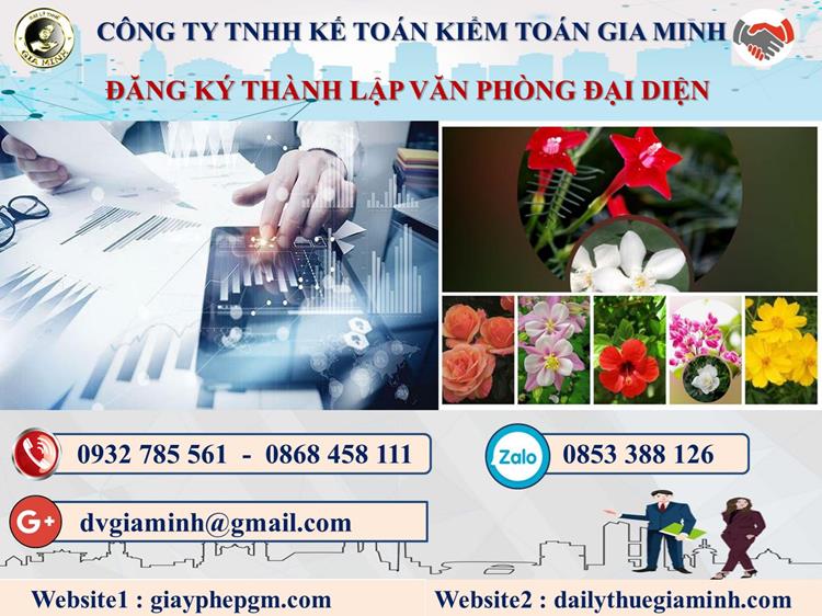 Thủ tục thành lập văn phòng đại diện tại Hoà Bình