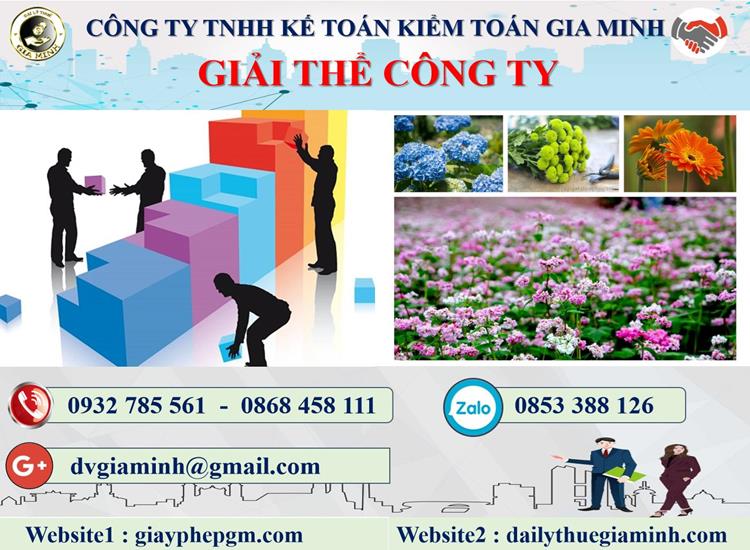 Thủ tục giải thể công ty giá rẻ tại Hải Phòng
