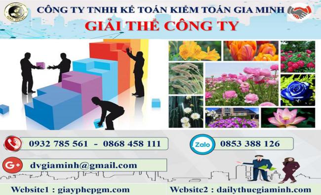 Thủ tục giải thể công ty giá rẻ tại Vũng Tàu