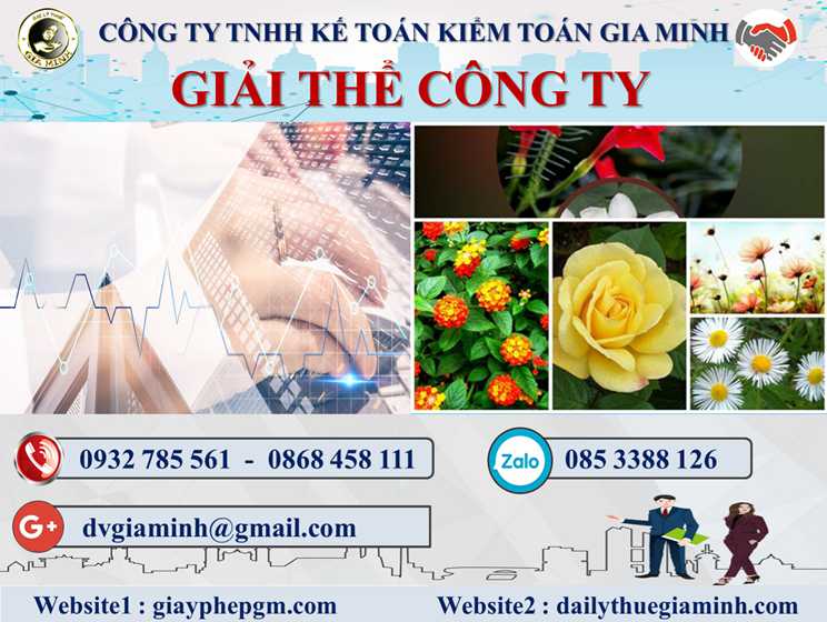 Dịch vụ giải thể công ty tại Gia Lai – Nhanh chóng & Trọn gói 5 Dịch vụ giải thể doanh nghiệp tại Gia Lai – 3.000.000