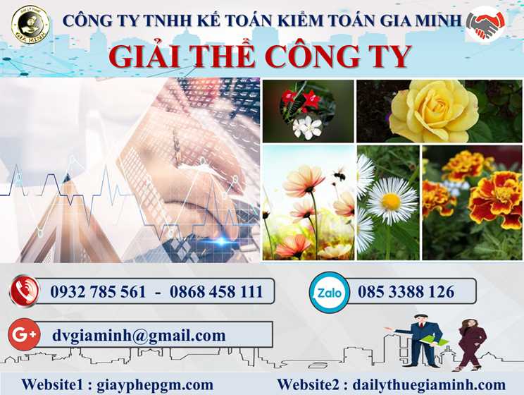 Dịch vụ giải thể doanh nghiệp tại Hòa Bình – 3.000.000