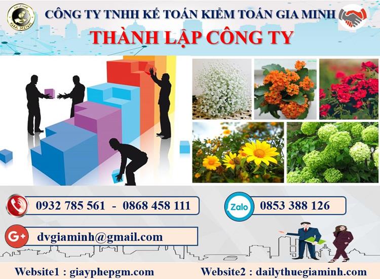 Dịch vụ thành lập doanh nghiệp ở Bình Định 4 Thủ tục thành lập doanh nghiệp ở Bình Định