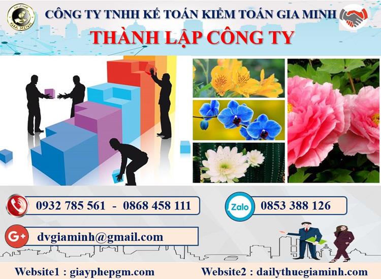 Thủ tục thành lập doanh nghiệp ở Hải Phòng