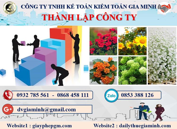 Thủ tục thành lập doanh nghiệp ở Hậu Giang