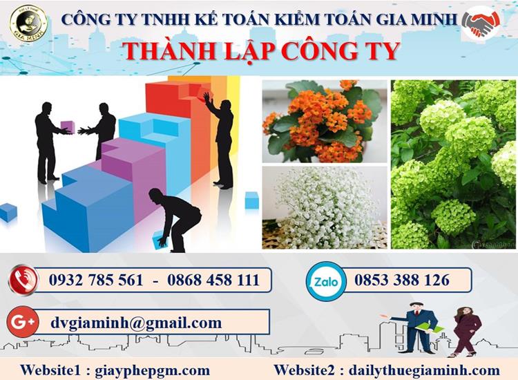 Dịch vụ thành lập doanh nghiệp ở Huyện Củ Chi 4 Thủ tục thành lập doanh nghiệp ở Huyện Củ Chi