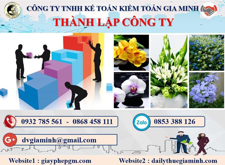 Thủ tục thành lập doanh nghiệp ở Huyện đảo Bạch Long Vĩ