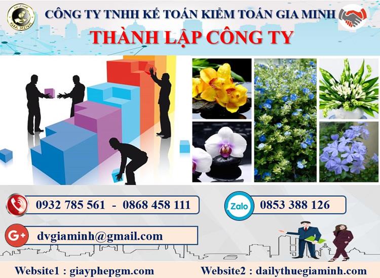  Thủ tục thành lập doanh nghiệp ở Huyện đảo Cát Hải