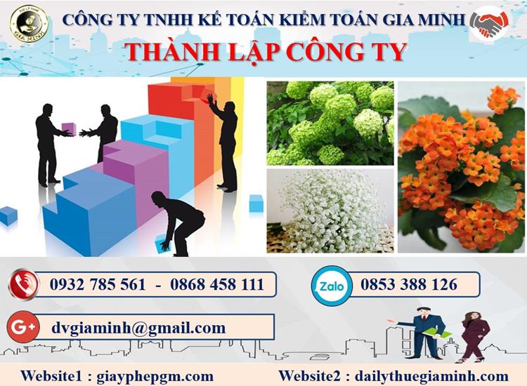 Dịch vụ thành lập doanh nghiệp ở Huyện Hóc Môn 4 Thủ tục thành lập doanh nghiệp ở Huyện Hóc Môn