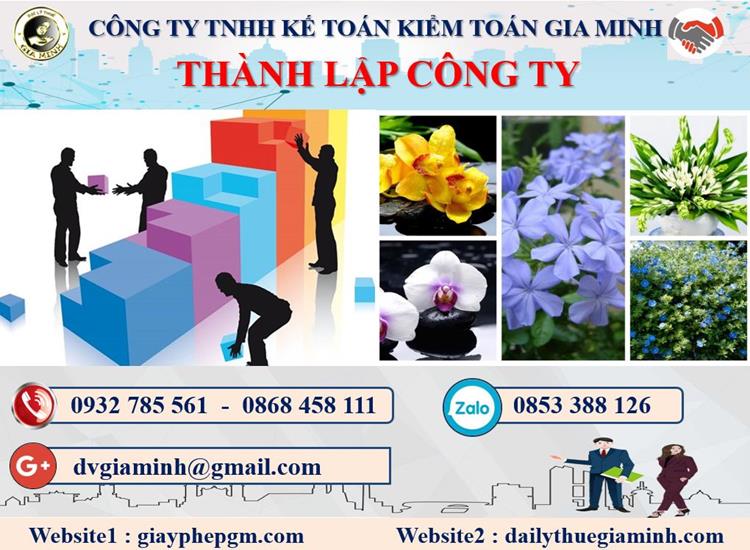  Thủ tục thành lập doanh nghiệp ở Huyện Kiến Thụy