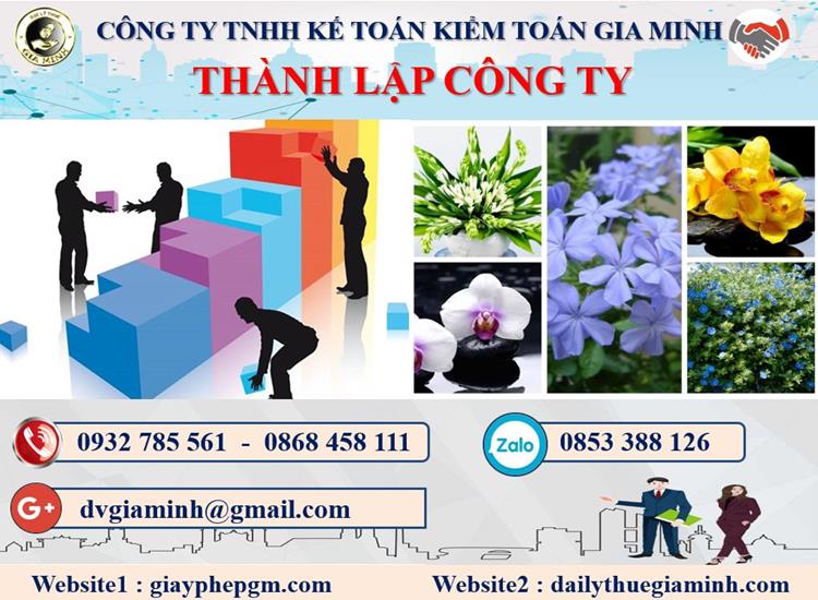 Thủ tục thành lập doanh nghiệp ở Huyện Tiên Lãng