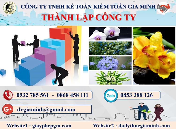 Thủ tục thành lập doanh nghiệp ở Quận Đồ Sơn