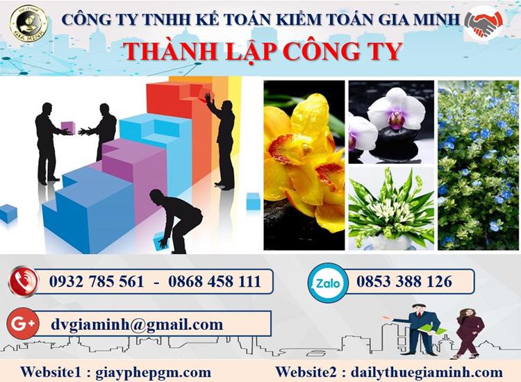 Thủ tục thành lập doanh nghiệp ở Quận Kiến An