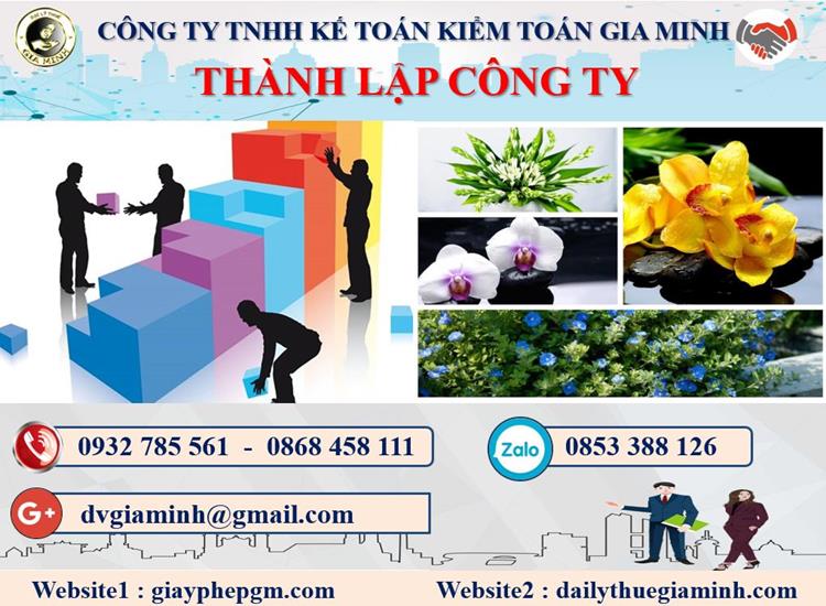 Thủ tục thành lập doanh nghiệp ở Quận Ngô Quyền