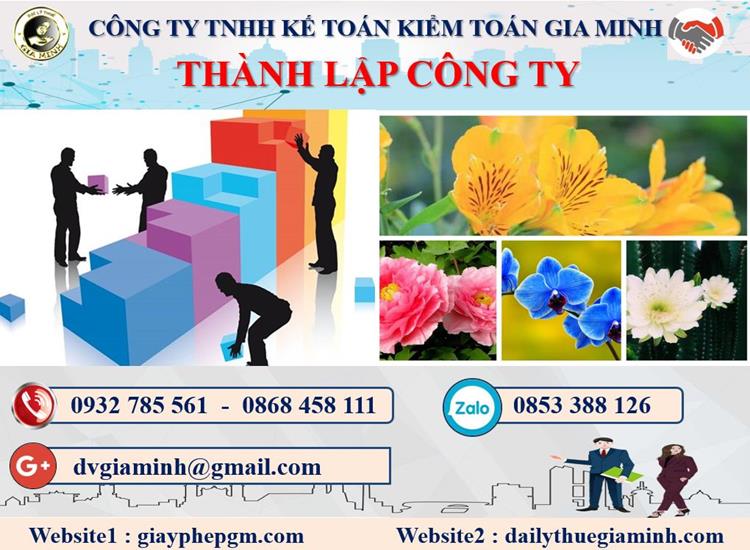 Thủ tục thành lập doanh nghiệp ở Thành phố Hải Phòng