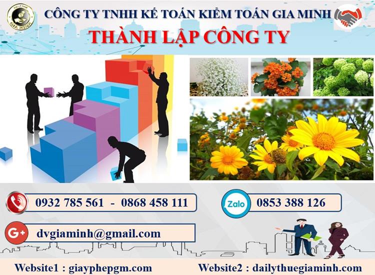 Dịch vụ thành lập doanh nghiệp ở Thành Phố Hồ Chí Minh 4 Thủ tục thành lập doanh nghiệp ở Thành Phố Hồ Chí Minh