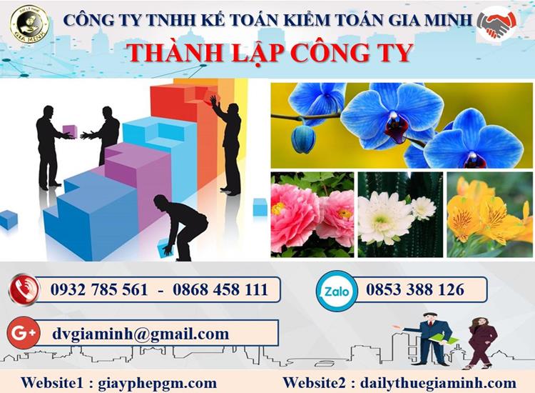 Dịch vụ thành lập doanh nghiệp ở Thị xã Hương Thủy 4 Thủ tục thành lập doanh nghiệp ở Thị xã hương thủy