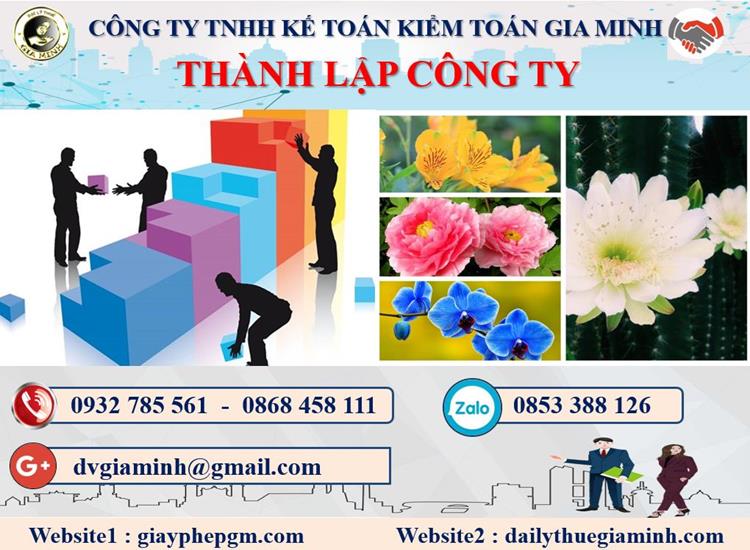 Dịch vụ thành lập doanh nghiệp ở TP Đà Nẵng 4 Thủ tục thành lập doanh nghiệp ở TP Đà Nẵng