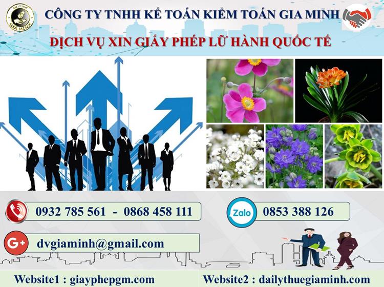 Dịch vụ xin giấy phép lữ hành quốc tế Bắc Giang 4 Dịch vụ xin giấy phép lữ hành quốc tế Bắc Giang