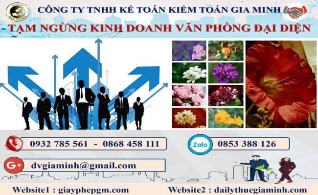Tạm ngừng kinh doanh văn phòng đại diện tại Ninh Bình 4 Thủ tục tạm ngừng kinh doanh văn phòng đại diện tại Ninh Bình