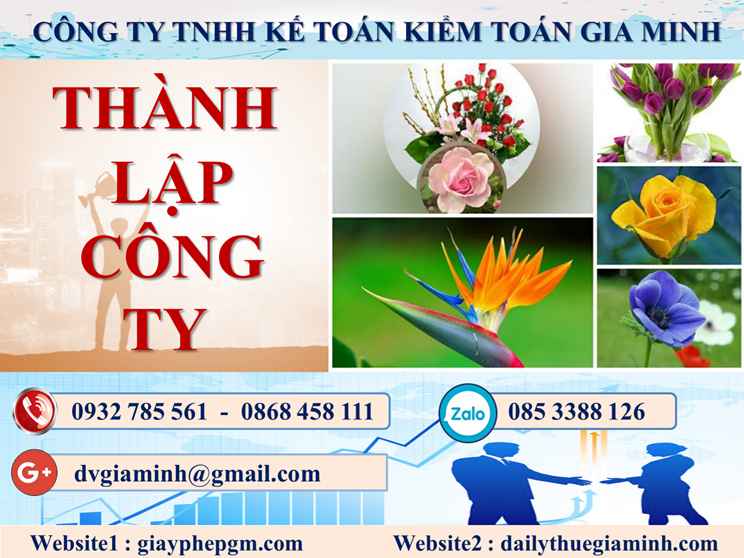 Thành lập doanh nghiệp tại Thái Bình 4 Thủ tục thành lập doanh nghiệp tại Thái Bình