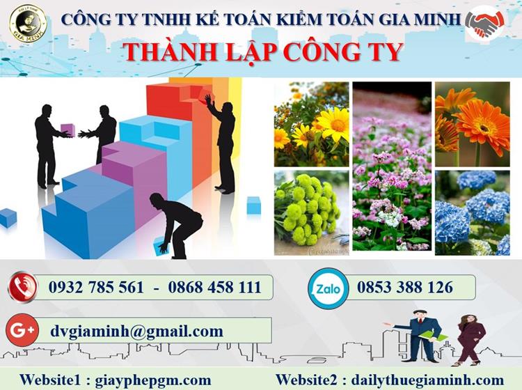 Thủ tục thành lập doanh nghiệp sản xuất bánh kẹo tại Quận Bình Tân