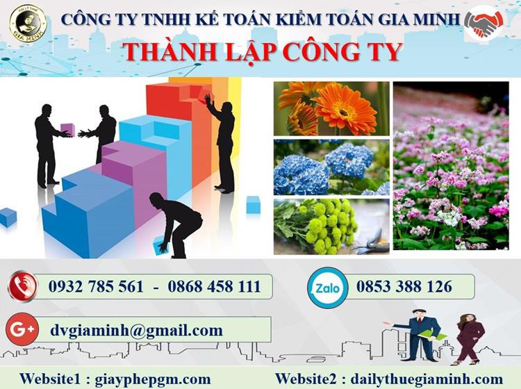 Thủ tục thành lập doanh nghiệp sản xuất bánh kẹo tại Quận Tân Phú