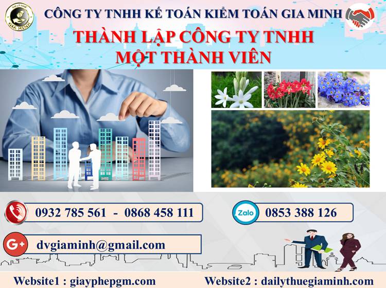 Thủ tục thành lập doanh nghiệp TNHH MTV tại Hà Nội