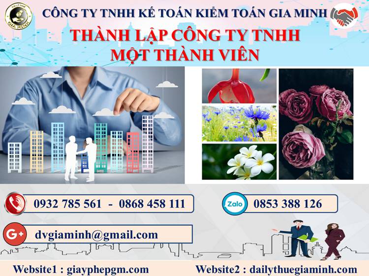 Thủ tục thành lập doanh nghiệp TNHH MTV tại Hải Phòng