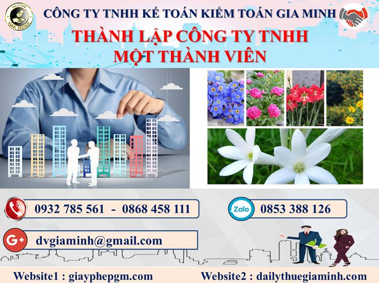 Thủ tục thành lập doanh nghiệp TNHH MTV tại Hưng Yên