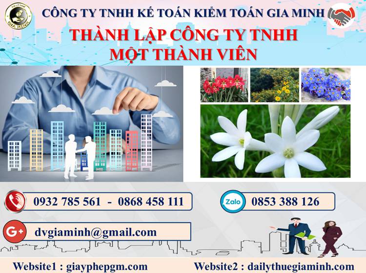 Thủ tục thành lập doanh nghiệp TNHH MTV tại Huyện Ba Vì