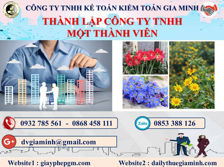 Thủ tục thành lập doanh nghiệp TNHH MTV tại Huyện Bình Chánh